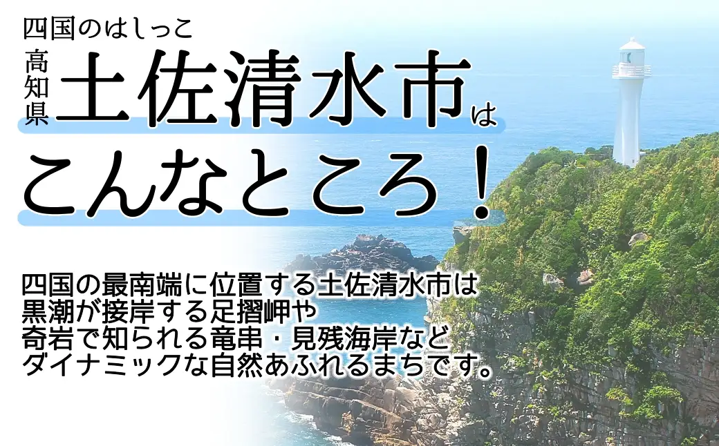 足摺ヤブ椿再生プロジェクト 応援一口 5,000円（1,500円分） ※返礼品なし※ 自然保護 椿 つばき ツバキ 藪椿 ヤブツバキ クラウドファンディング 募金 環境保護 SDGs 高知県【R01751】