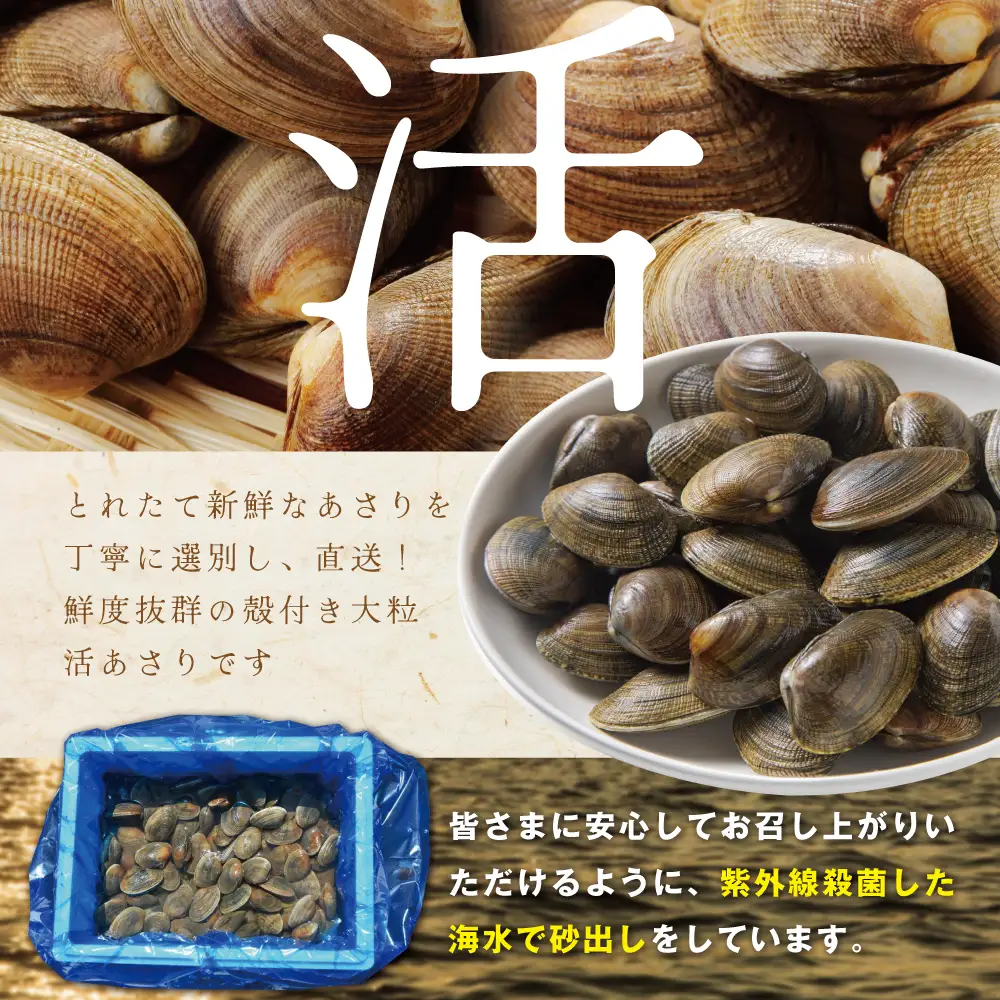 御礼！ランキング第1位獲得！北海道 野付産 大粒 天然 活あさり 2kg