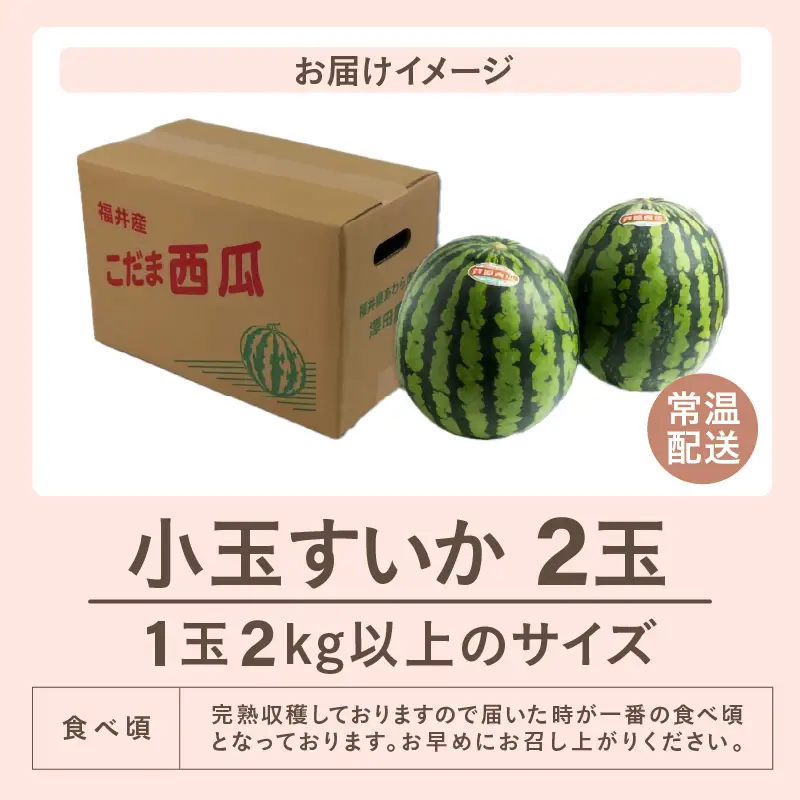 【先行予約】小玉すいか 愛娘(まなむすめ) 2kg以上 2玉入 ＜大玉のようなシャリ感！皮際まで抜群に甘い＞ ／ 期間限定 あわら 果物 フルーツ 産地直送  スイカ 小玉スイカ ※2027年6月上旬より順次発送 [aw039-a017]