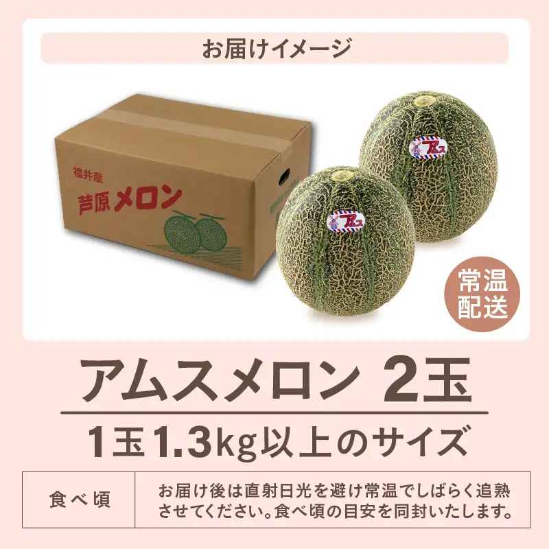 【先行予約】アムスメロン（1.3kg以上 2玉入) とろけるような果肉が絶品！／ あわら 期間限定 果物 フルーツ 産地直送 青肉 人気 ※2027年6月下旬より順次発送 [aw039-a018]
