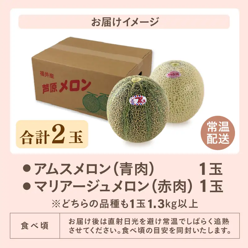 【先行予約】アムス・マリアージュメロン 2種（1.3kg以上 2玉入）農園1番のおすすめ！ / あわら 期間限定 果物 フルーツ 産地直送 青肉 赤肉 人気 ※2027年7月上旬より順次発送 [aw039-a019]