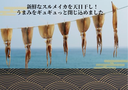イカの一日干し５枚 スルメイカ 