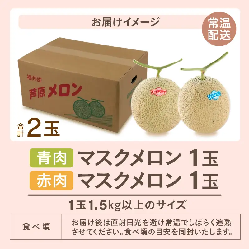 【先行予約】マスクメロン 青肉・赤肉 2色セット（1.5kg以上 2玉入）食べ比べお楽しみ！アールスメロン ／ あわら 期間限定 果物 フルーツ 産地直送 人気 甘い ※2027年7月上旬より順次発送 [aw039-a022]