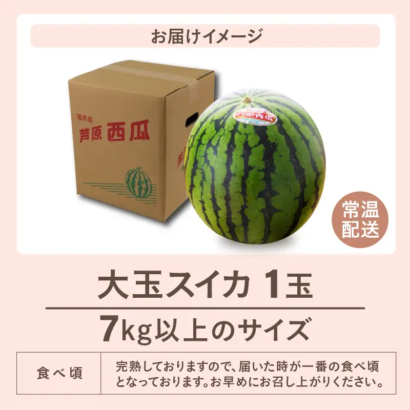 先行予約】大玉スイカ（7kg以上 1玉入) 皮際まで甘い！シャリ感も抜群