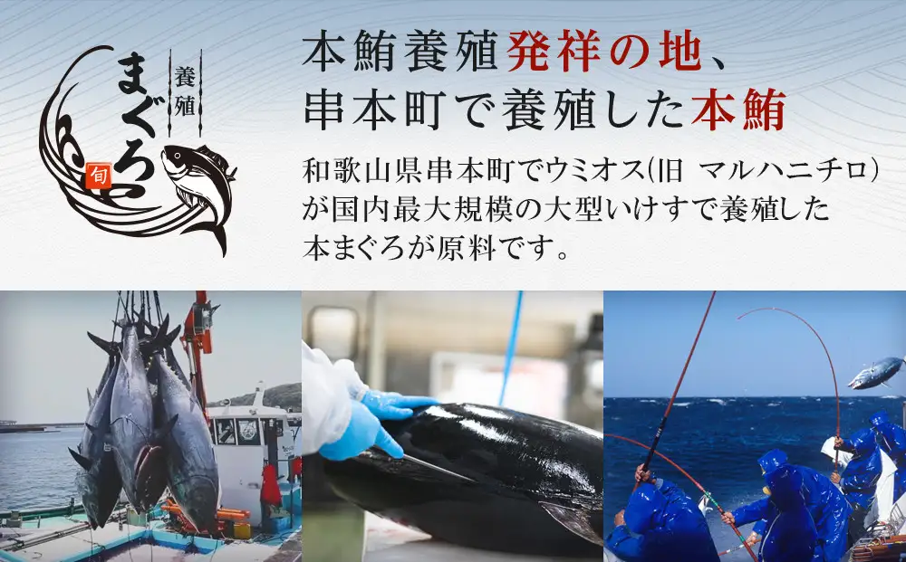 本マグロ（養殖）トロ＆赤身セット 500g［KS12］ まぐろ 年内発送受付中