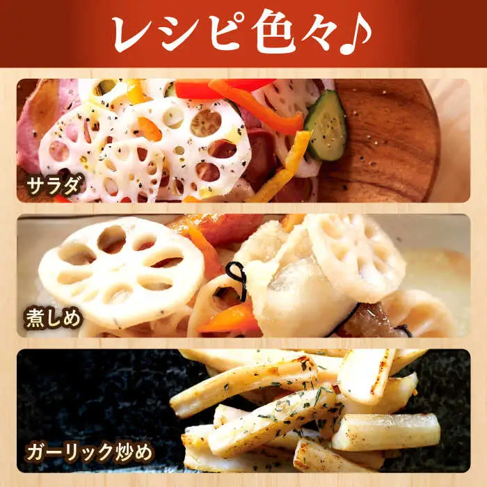幻の唐比れんこん 2kg AHCA002 れんこん