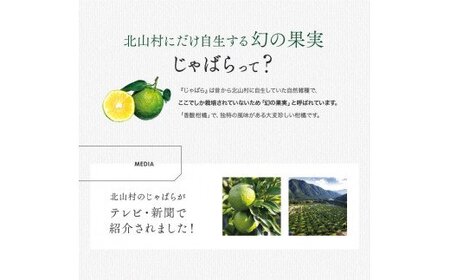 【ふるさと納税】じゃばら果汁100ml×3本【njb212】