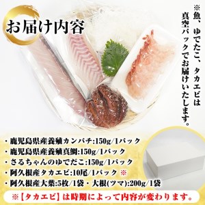 鹿児島県産！お刺身切るだけセット(3人～4人前)国産 刺し身盛 魚貝 魚介 海産物 刺身 蛸 たこ 海老 エビ かんぱち タイ 簡単調理 おつまみ セット 小分け 個包装【さるがく水産】akn028-05