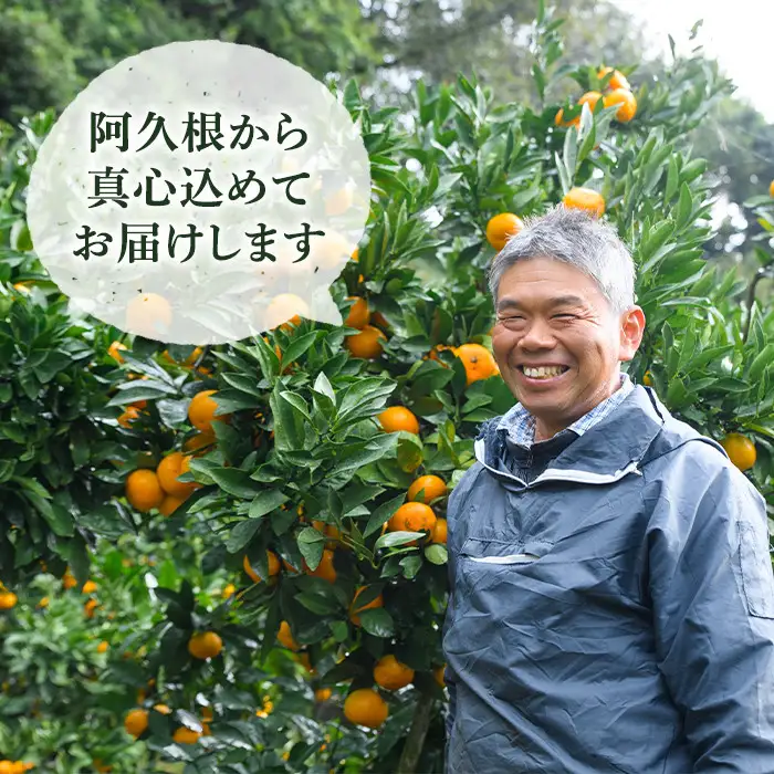 ＜先行予約受付中！2026年12月下旬以降順次発送予定＞数量限定！鹿児島県産 手詰めぽんかん(計約5kg・2L or 3L) 旬 フルーツ 果物 くだもの ポンカン 早生系統 デザート ノーワックス 阿久根市産 期間限定 数量限定 手詰 手作業【三笠農業生産】akn051-01