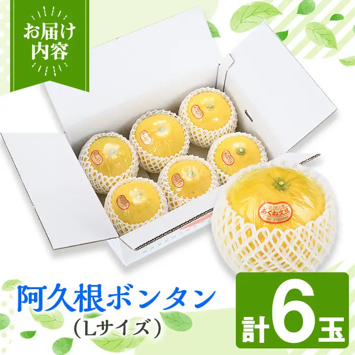 ＜先行予約受付中！2026年12月中旬以降順次発送予定＞ 阿久根ぼんたん(Lサイズ・6玉入) 阿久根市 ボンタン 文旦 柑橘 果物 フルーツ 新鮮 旬 特産品 鹿児島県 九州産 国産 期間限定 数量限定 【泰平食品】akn007-03