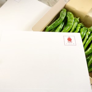 【2026年発送】 万願寺とうがらし 1kg  （2～4人用） 万願寺唐辛子 京野菜