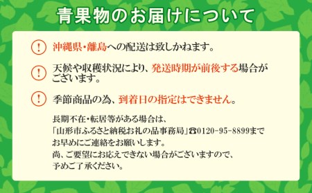 さくらんぼ 佐藤錦 Ｌ 1080g (180g×6パック) 【令和9年産先行予約】FS25-532