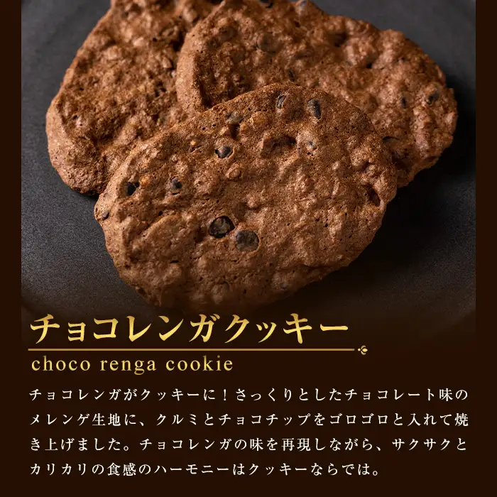 チョコレートケーキ♪ チョコレンガ ・ チョコ クッキー  詰め合わせセット チョコレートケーキ【00-012-02】