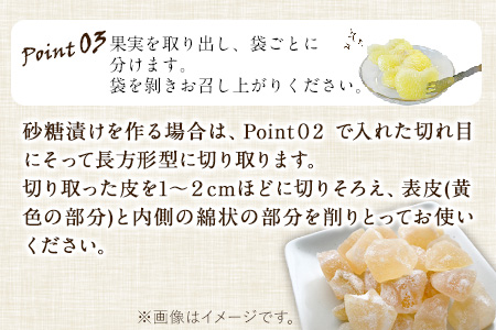 森田果樹園の晩白柚 1玉 森田果樹園《12月中旬-2月末頃出荷》果物 フルーツ サボン 熊本