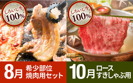 【先行予約 2027年2月～発送】【6回定期便】いちごと牛肉の贅沢定期便 / いちご 牛肉  [IZZ009]