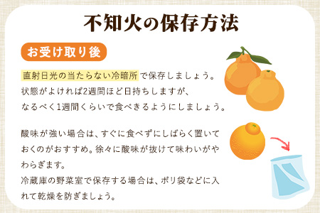 森田果樹園の不知火 5kg《2027年2月中旬-4月下旬頃出荷》森田果樹園 果物 フルーツ 柑橘 熊本
