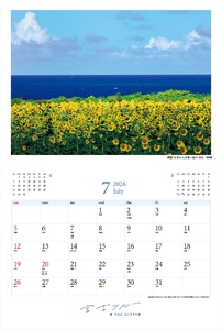 ★品切れ★沖縄県宮古島 壁掛けカレンダー 2026 A4サイズ （壁掛け時はA3）｜宮古ブルー【写真家 上西重行】 A4サイズ （壁掛け時はA3）｜宮古ブルー【写真家 上西重行】