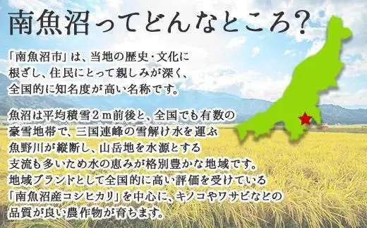 新潟県 南魚沼市 生切り餅 1kg 2個 計2kg もち モチ 黄金もち 雑煮 和菓子 やまと食品 大容量 お取り寄せ グルメ