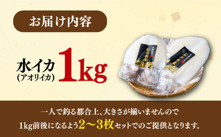【 対馬産 】 水 イカ （ アオリイカ ） 生 冷凍 1kg [WAB006] 下処理 塩焼き あおりいか アオリイカ