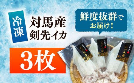 【対馬産】 剣先 イカ（ 生 冷凍 ）3枚刺身 塩辛 [WAB003] 刺身 剣先いか あかいか まるいか