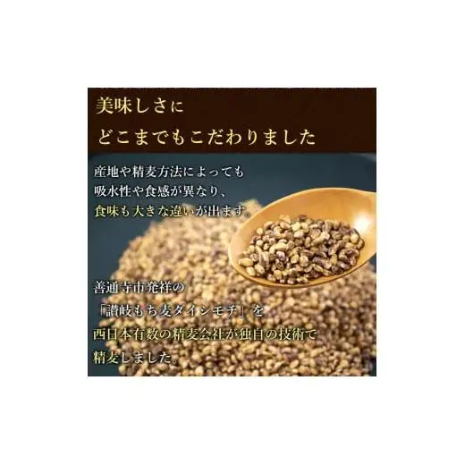 【生産者応援企画！】 讃岐もち麦「ダイシモチ」8kg（1ｋｇ×８袋） 保存に便利なジップ付き_Z2600019