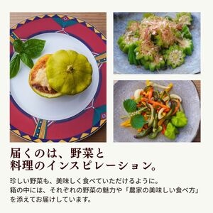農薬化学肥料不使用 雲の上ガーデンのぴかぴか野菜セット【お試し便】季節にあわせて10品目前後をお届け【L001】季節 旬 詰め合わせ 採れたて 新鮮 産地直送 高知県産 冷蔵便