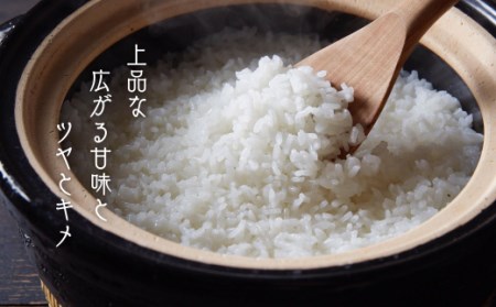 コシヒカリ 5kg 本氣米 コシヒカリ