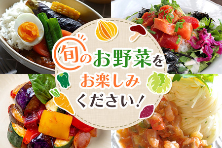 野菜 奥久慈産 旬の野菜詰め合わせ 季節 セット 【野菜】【ho0871】