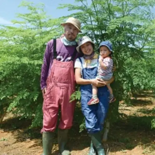 奇跡の植物＜モリンガ＞パウダー（2個セット） ☆ お茶 お手軽 持ち運び 沖縄 読谷村産