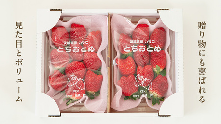 2027年 収穫分 》 完熟 とちおとめ 260g×4パック KEK 国産 いちご