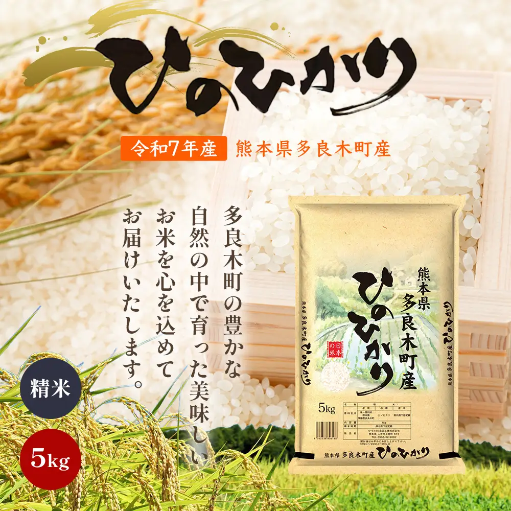 【お米】 令和7年産 多良木町産 ヒノヒカリ 5kg  【 熊本県 ひのひかり お米 新米 ごはん 白ごはん 美味しい米 白米 米 精米 ご飯 黄金晴 熊本県産 送料無料】 053-0508