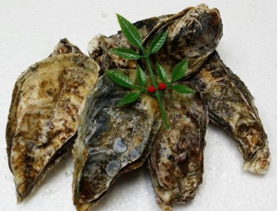 多度津町産 白方かき 焼き小屋さと自家製　かきの佃煮　70g×３袋【令和9年1月頃から4月頃までの期間限定出荷】【L-27】