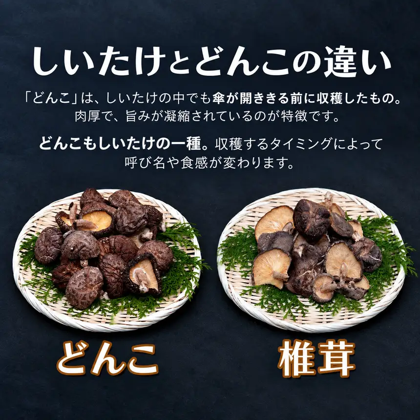 乾燥椎茸 国産 どんこ100g×5パック | 乾しいたけ 干し椎茸 原木椎茸 干し椎茸 干ししいたけ 乾しいたけ 大分県産 九州 産地直送 中津市 送料無料