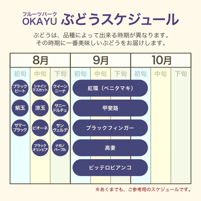 【先行予約】9月特選 ぶどうセットL 1.7kg以上（3～4房）／ 葡萄 クイーンニーナ 品種 おまかせ あわら 農家おすすめ ※2026年9月より順次発送 [aw007-b003]