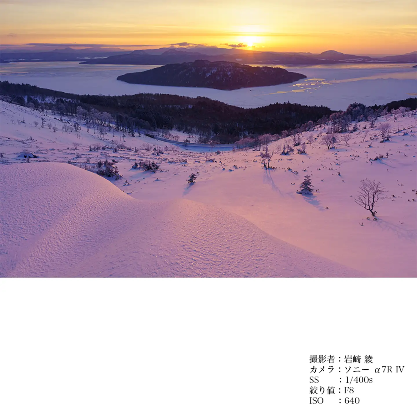 SIGMA 28-70mm F2.8 DG DN | Contemporary【Lマウント】