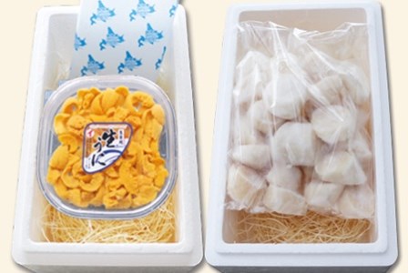 エゾバフンウニ塩水パック150g×1P、お刺身ホタテ貝柱500g×1P[11月下旬以降発送] E-40018