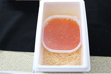 エゾバフンウニバラ詰め150g×1折、いくら醤油漬け(鱒卵)150g×1P[11月下旬以降発送] E-40022