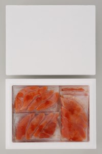 無着色　辛子明太子　切子込　100g×10　明太子　辛子明太子_T012-0566
