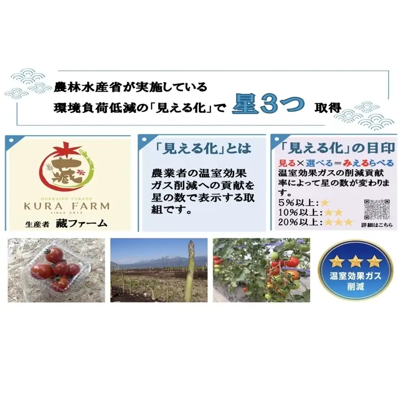 アスパラガス 富良野産 緑 2Lサイズ 露地【約2kg 30～58本】【先行予約】