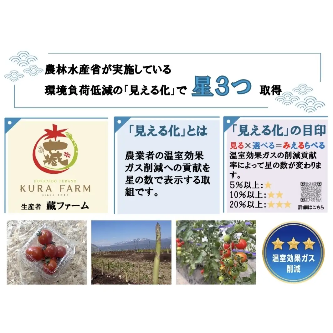 【2027年5月より発送】北海道 富良野市産 アスパラ 緑 約1.5kg (75～105本前後) 朝どり 露地 グリーン アスパラガス 詰め合わせ 野菜 新鮮 数量限定 先着順【藏ファーム】