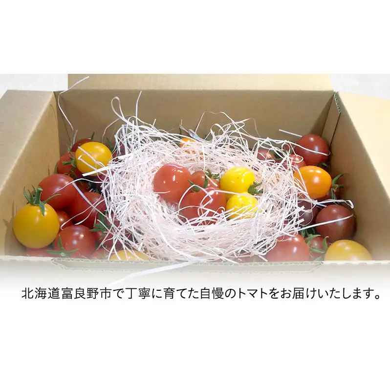 【2026年7月より発送】北海道 富良野市産 完熟ミニトマト（甘っこ）約2kg カラートマト・ぷちぷよ付 トマト 甘い 野菜 新鮮 数量限定 先着順【藏ファーム】