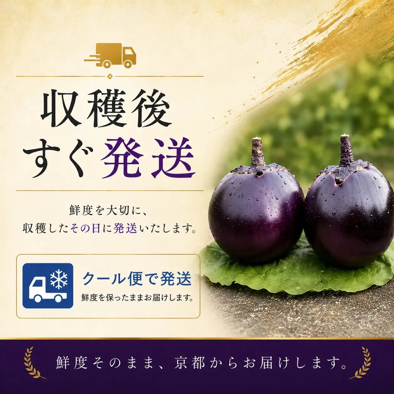 ＜3回定期便2026年7～9月発送＞賀茂茄子（京野菜）6個 約1.5kg×3回 ｜ 野菜