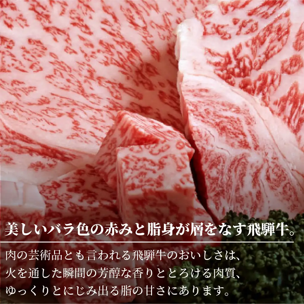 牛肉 A5 飛騨牛 ブロック ２種食べ比べ 1kg（サーロイン500g もも500g） 牛肉 LR001