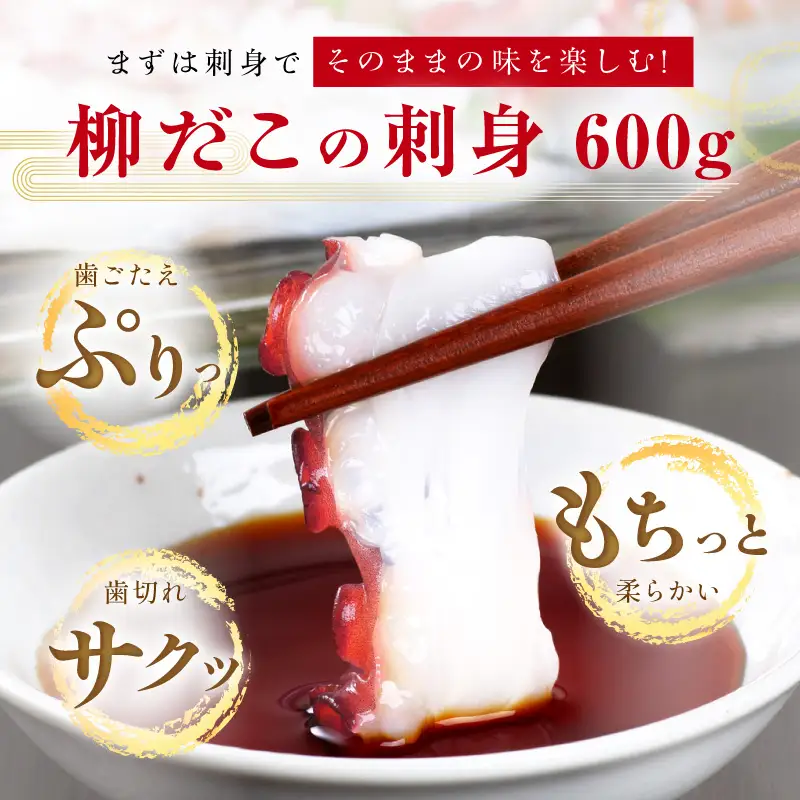しらぬか産柳だこ(600g)と珍味(まんまの三杯酢・まんまの塩辛)の計3種セット_I021-0469