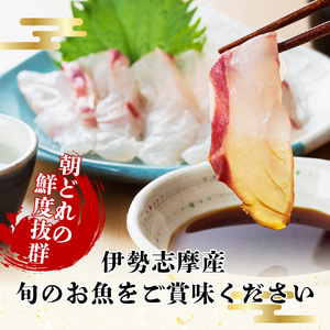 お刺身 2～3種 約500ｇ 鮮魚 おまかせ 鮮魚
