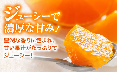 紅まどんな（8個-15個）【11月下旬から順次発送】紅まどんな みかん[AGBA001]