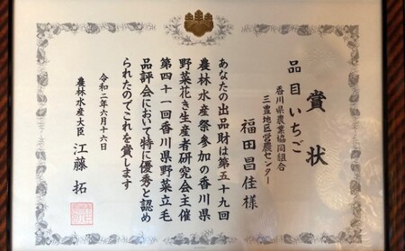 福田さんちのイチゴ(さぬきひめ) 3Lサイズ 800g以上 ギフトボックス２箱【配送不可：北海道、沖縄県、離島エリア】苺 農園直送 いちご採れたて直送