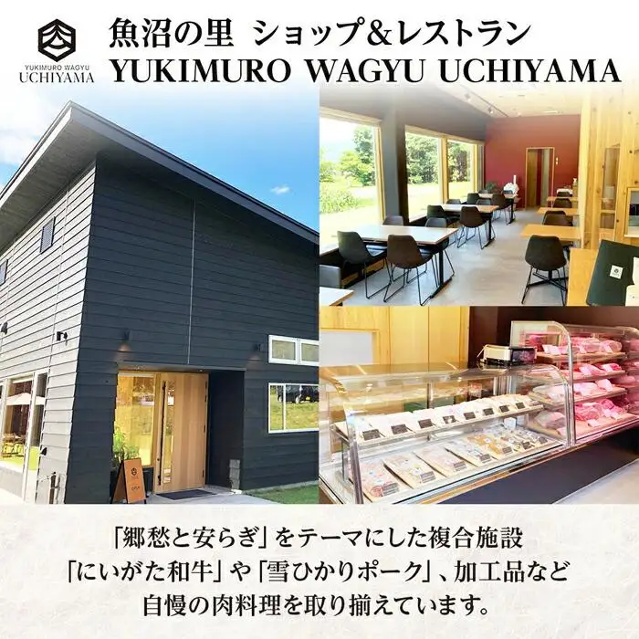 ハンバーグ 150g 4個 計600g にいがた和牛 黒毛和牛 雪ひかりポーク 合挽 国産 牛肉 豚肉 新潟県 南魚沼市 冷凍 YUKIMURO WAGYU UCHIYAMA 内山肉店｜チルド