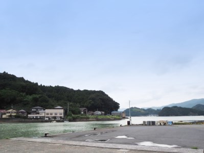 大原 かまぼこ店 詰合わせ A かまぼこ