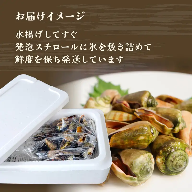 チャンバラ貝 1kg 貝
